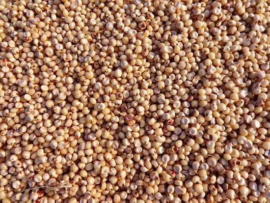 汾酒向上发力，如何平衡玻汾